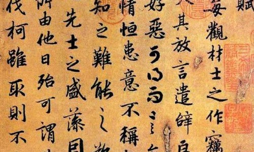 川甲珠是什么中药-中药川甲的价格网-分享川甲珠是什么中药，川甲片的功效与作用知识库