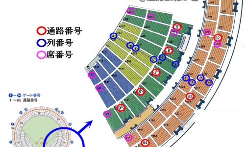 川甲珠是什么中药-中药川甲的价格网-分享川甲珠是什么中药，川甲片的功效与作用知识库