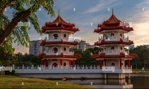 川甲珠是什么中药-中药川甲的价格网-分享川甲珠是什么中药，川甲片的功效与作用知识库