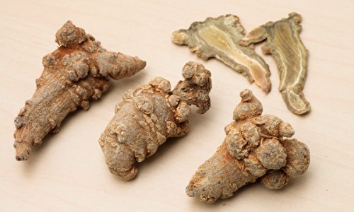 川甲粉的功效-中药川甲的价格网-分享川甲珠是什么中药，川甲片的功效与作用知识库