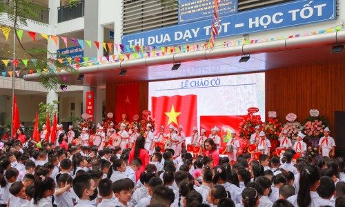 川甲珠是什么中药-中药川甲的价格网-分享川甲珠是什么中药，川甲片的功效与作用知识库